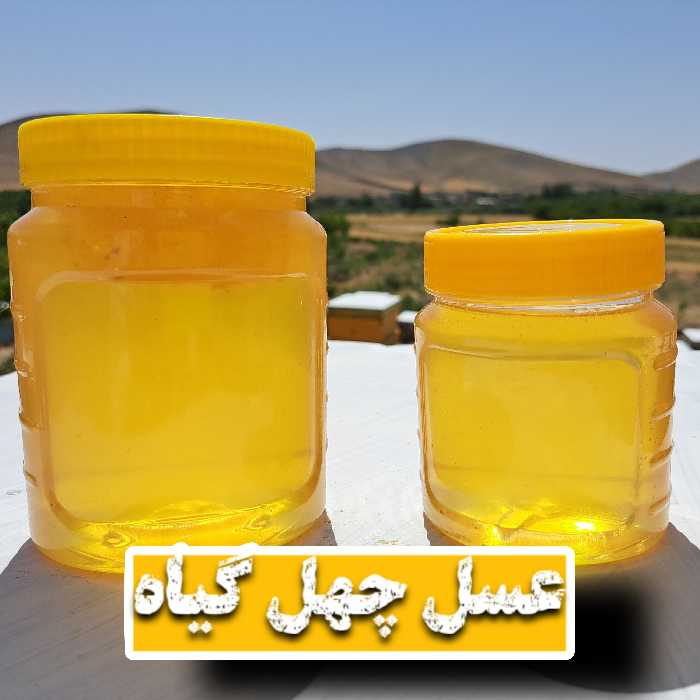 عسل چهل گیاه کاملا طبیعی(500 گرم)