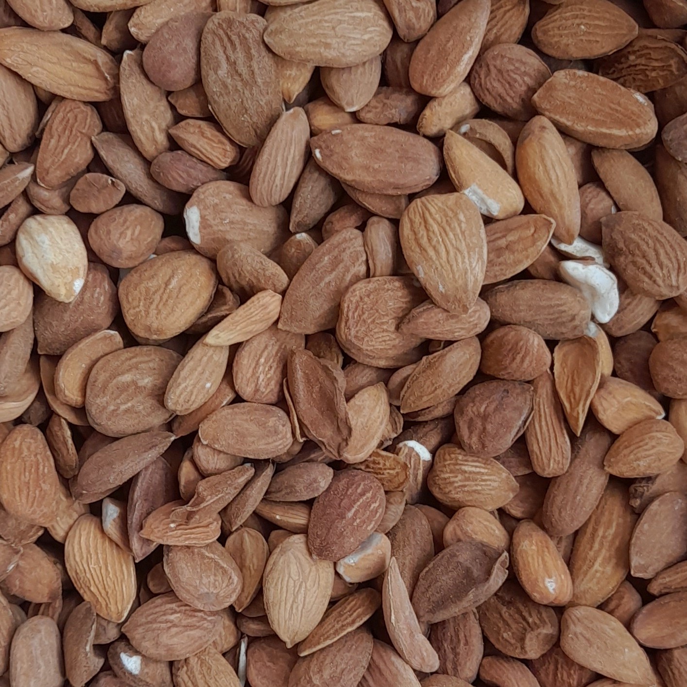 مغز بادام درختی خام ایرانی (نیم کیلویی)