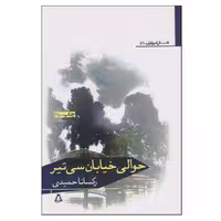 کتاب حوالی خیابان سی‌تیر اثر رکسانا حمیدی انتشارات افراز