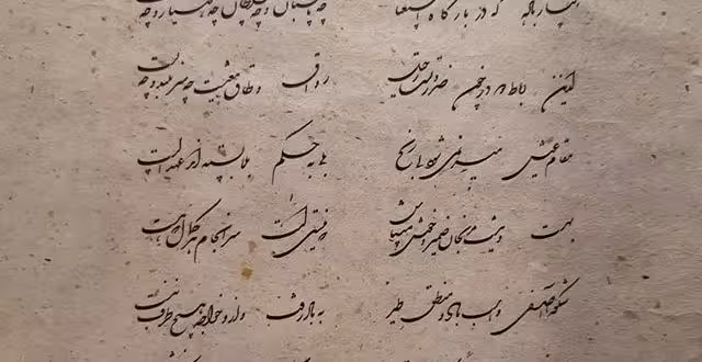 همه آنچه که باید درباره خط بدانید