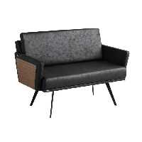 مبل دونفره راشن مدل F600N2