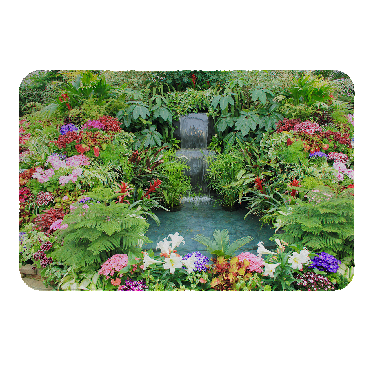 رطوبت گیر کنار سینک کد 5479