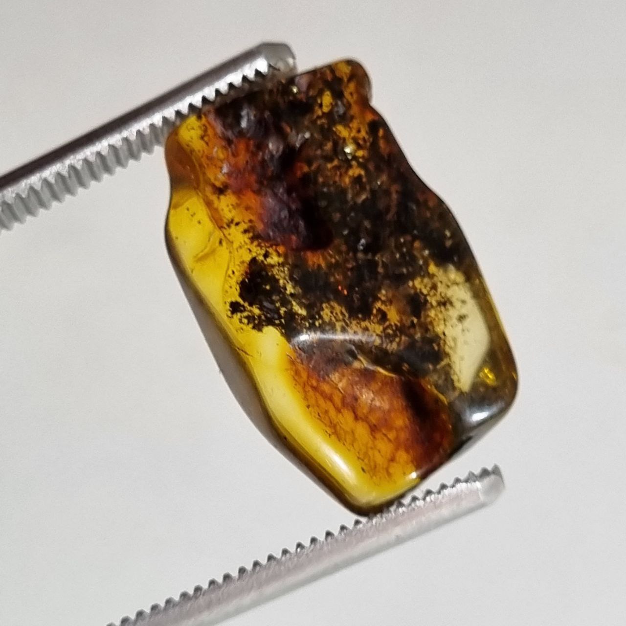 سنگ کهربا راف طبیعی بالتیک 8127