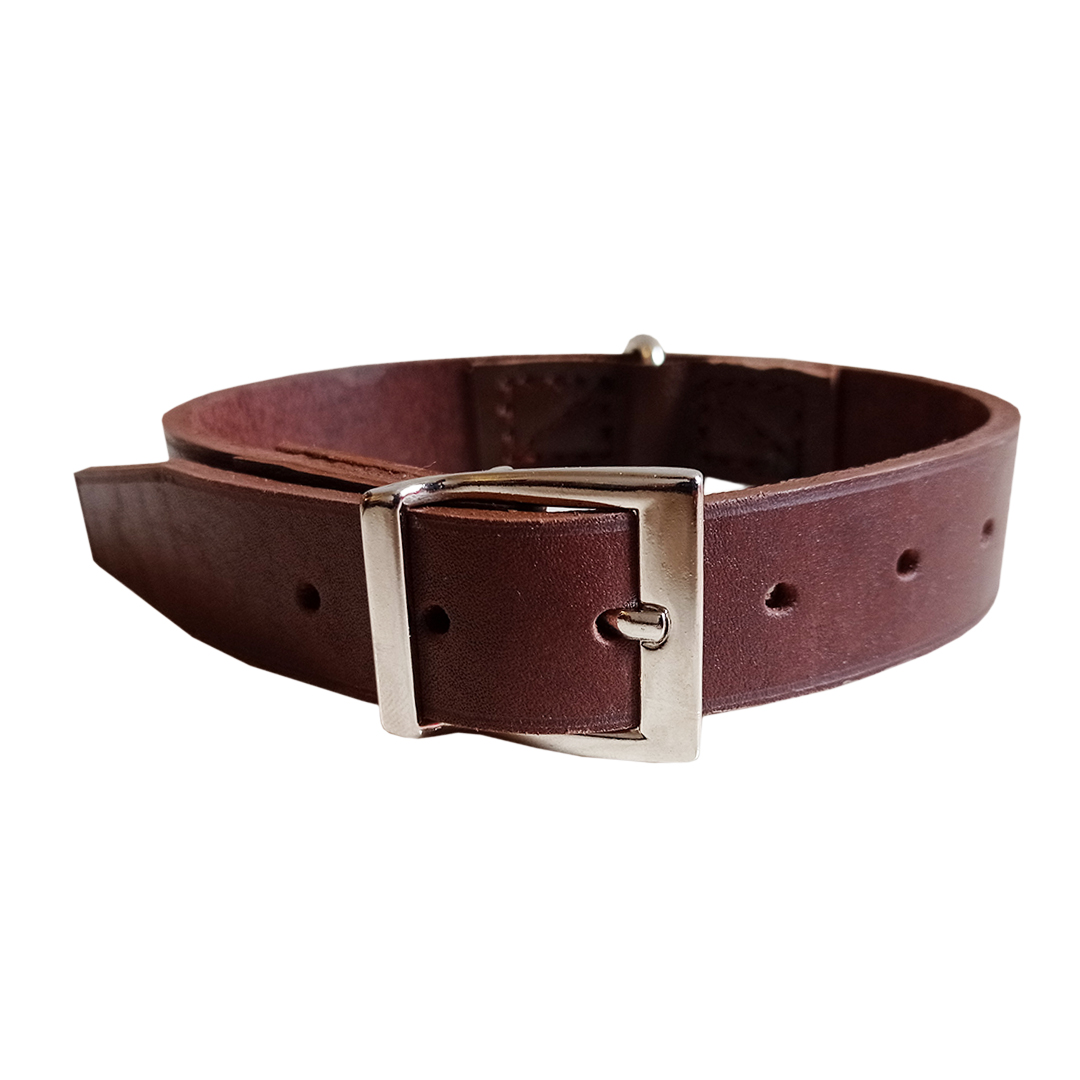 قلاده سگ کد G13