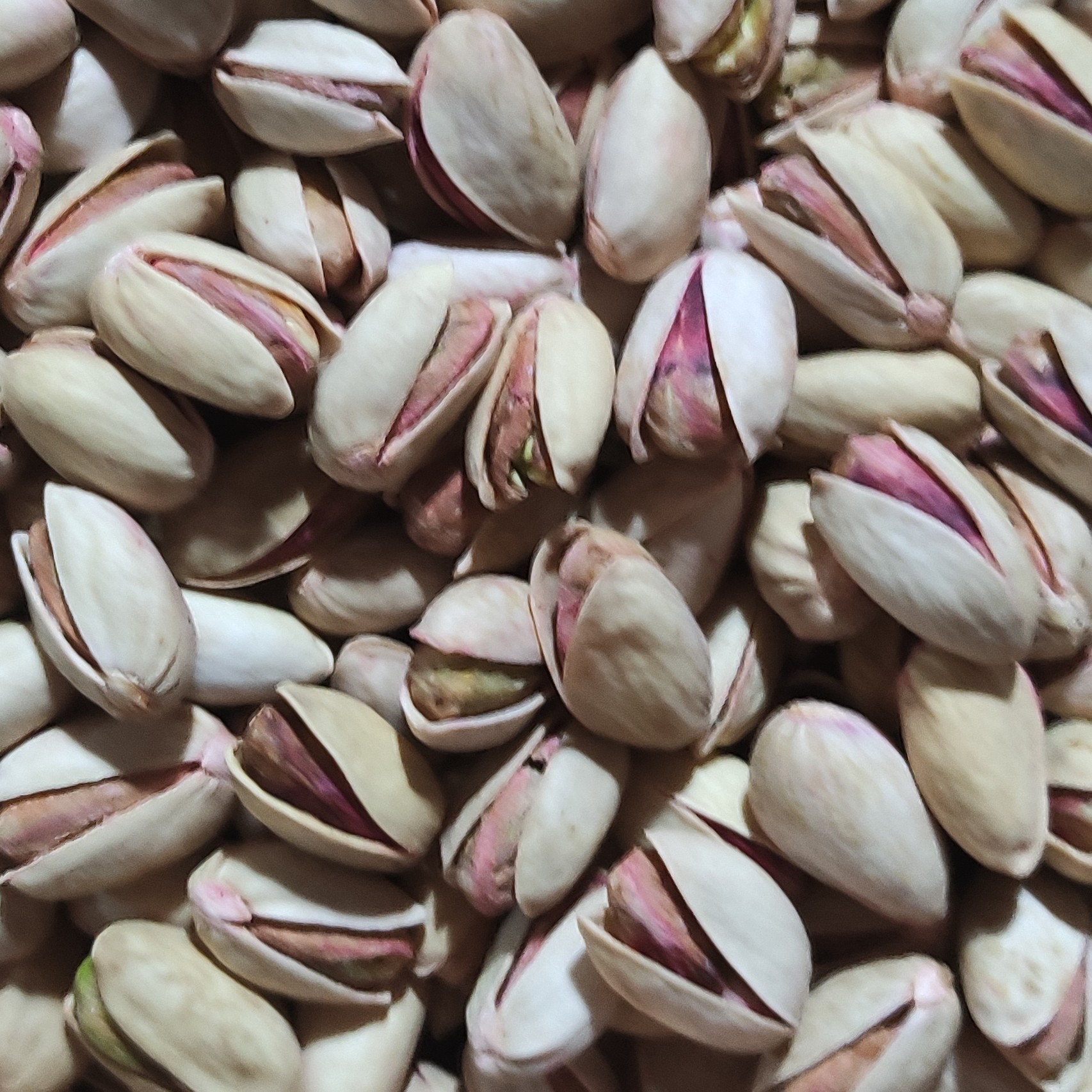 پسته بادامی نمکی درجه یک بدون بست یک کیلویی