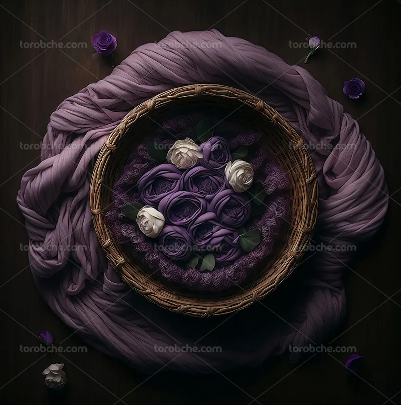 بک دراپ عکاسی نوزاد با گل و پارچه بنفش | گرافیک با طعم تربچه