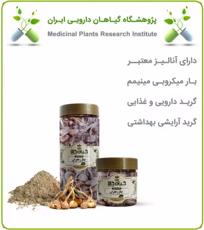 پیاز زعفران خشک یا پودری بسته بندی