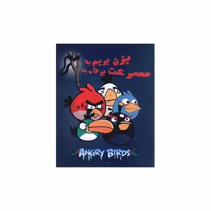 کتاب پرندگان خشمگین (2)(بزن بریم به سرعت برق و باد)