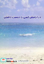 قیمت و خرید کتاب در آرامش کسی را دوست داشتن | ایده بوک