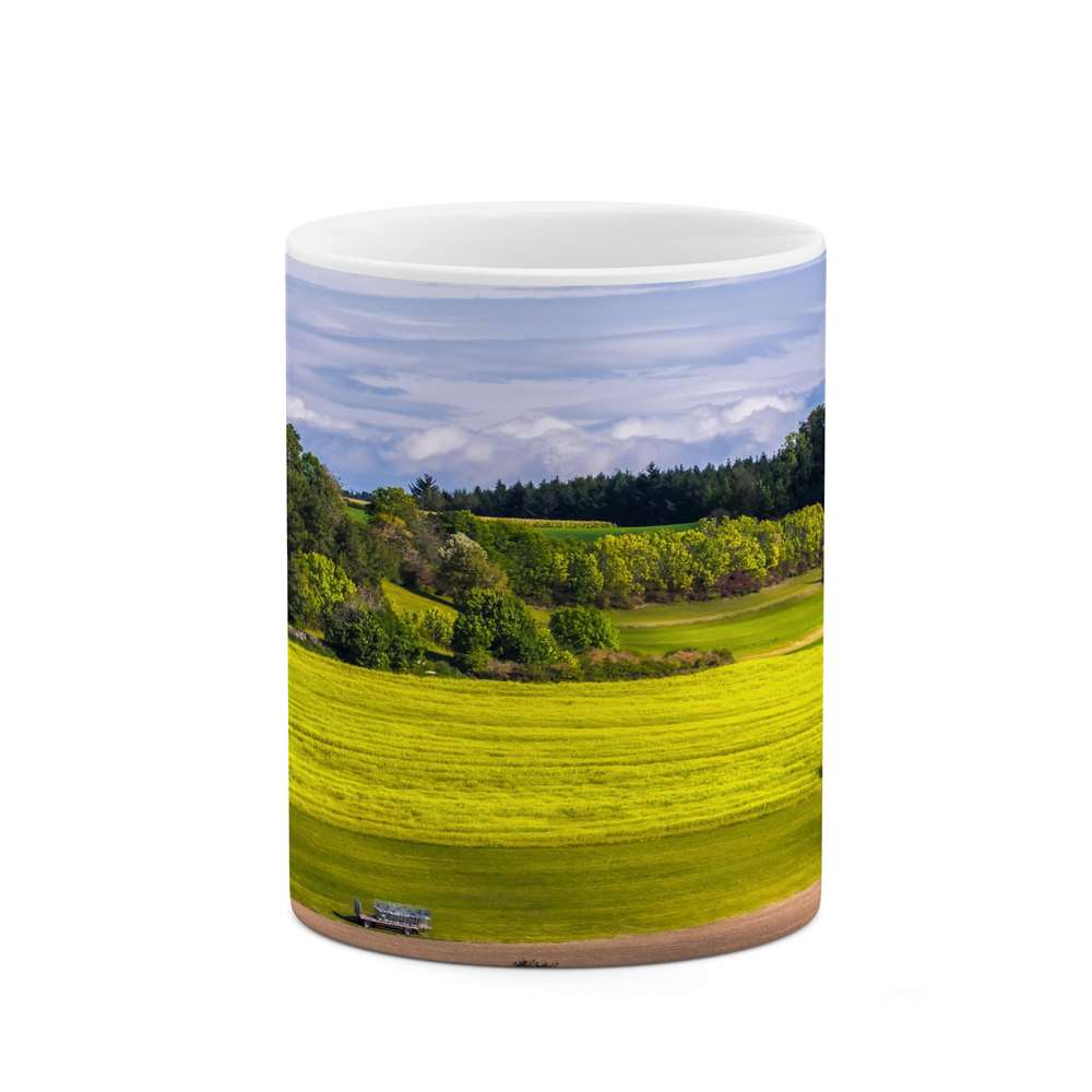 ماگ کاکتی طرح منظره مدل mgs14220