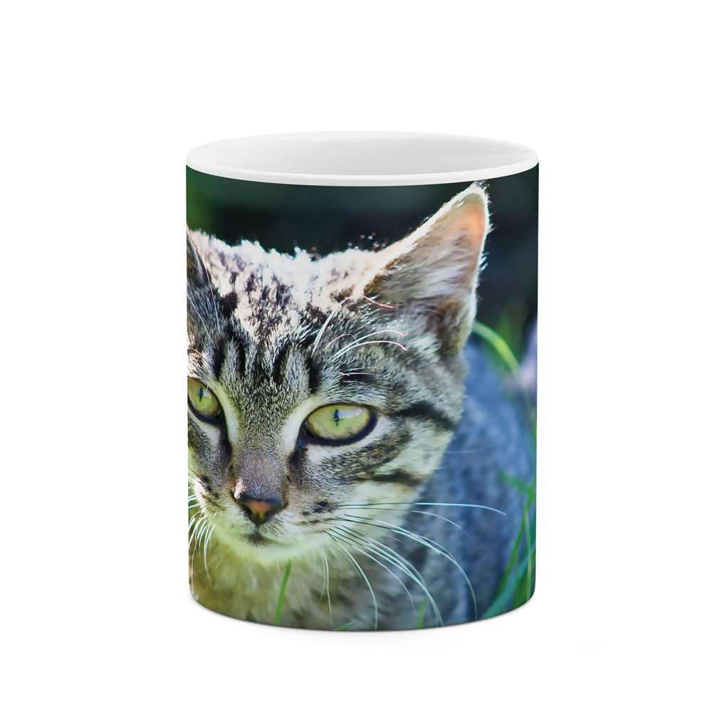 ماگ طرح گربه مدل mug04474