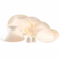 سرویس غذا خوری 28 پارچه پارس اپال مدل آترا کد 913