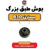 بوش طبق بزرگ بسترن B30