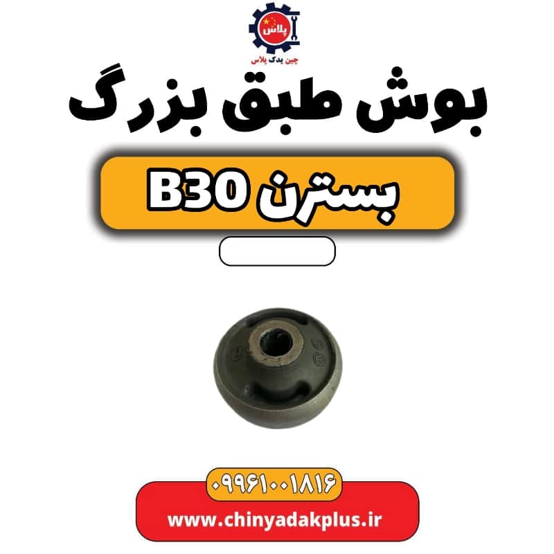بوش طبق بزرگ بسترن B30
