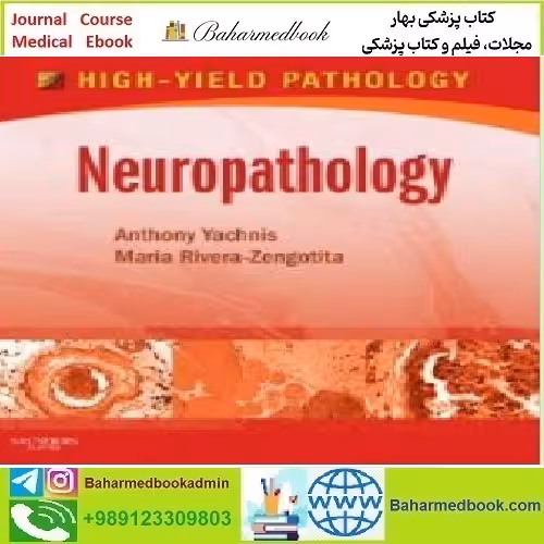 Neuropathology A Volume in the High Yield Pathology Series 201