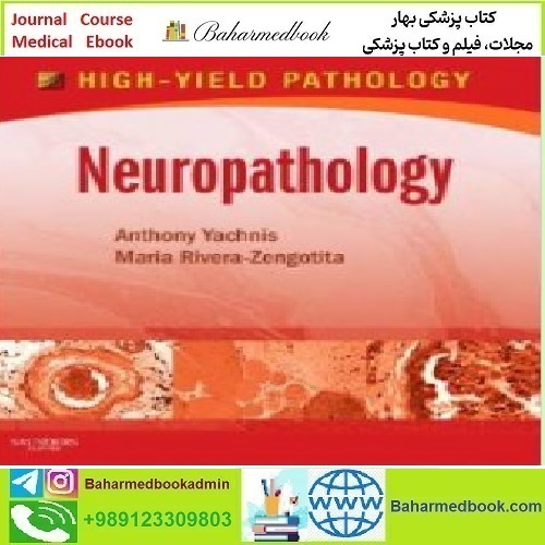 Neuropathology A Volume in the High Yield Pathology Series 201