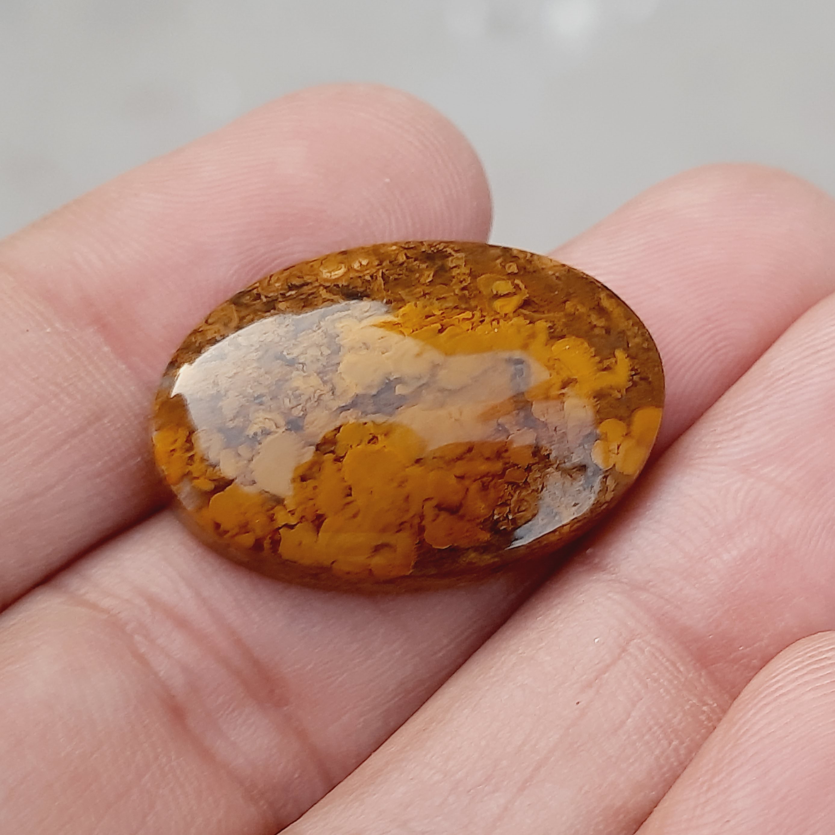 عقیق بی نظیرشجرپاییزی طبیعی