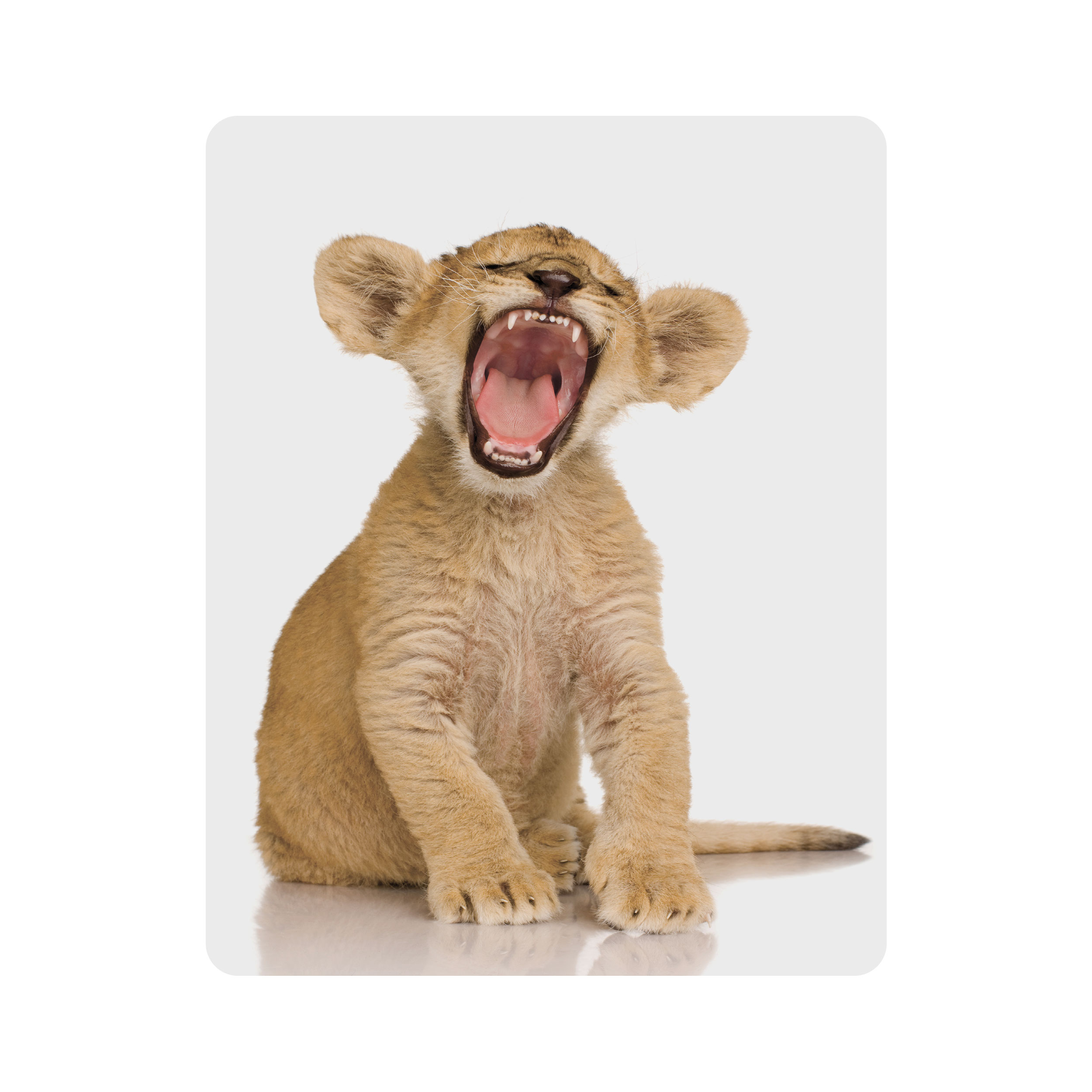 ماوس پد اطلس آبی طرح شیر مدل T2241