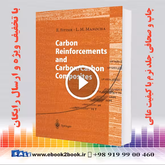 Carbon Reinforcements and Carbon/Carbon Composites