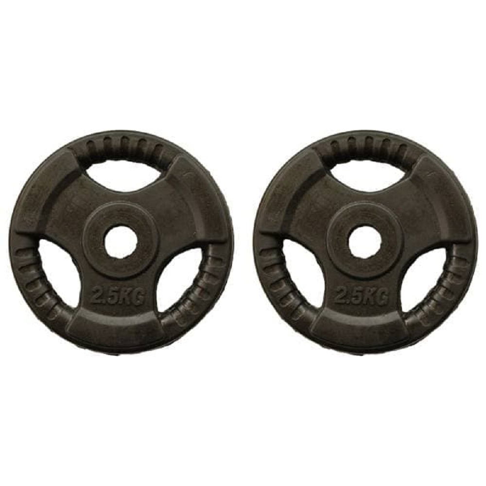 وزنه هالتر مدل sh2.5 وزن 2.5 کیلوگرم بسته 2 عددی