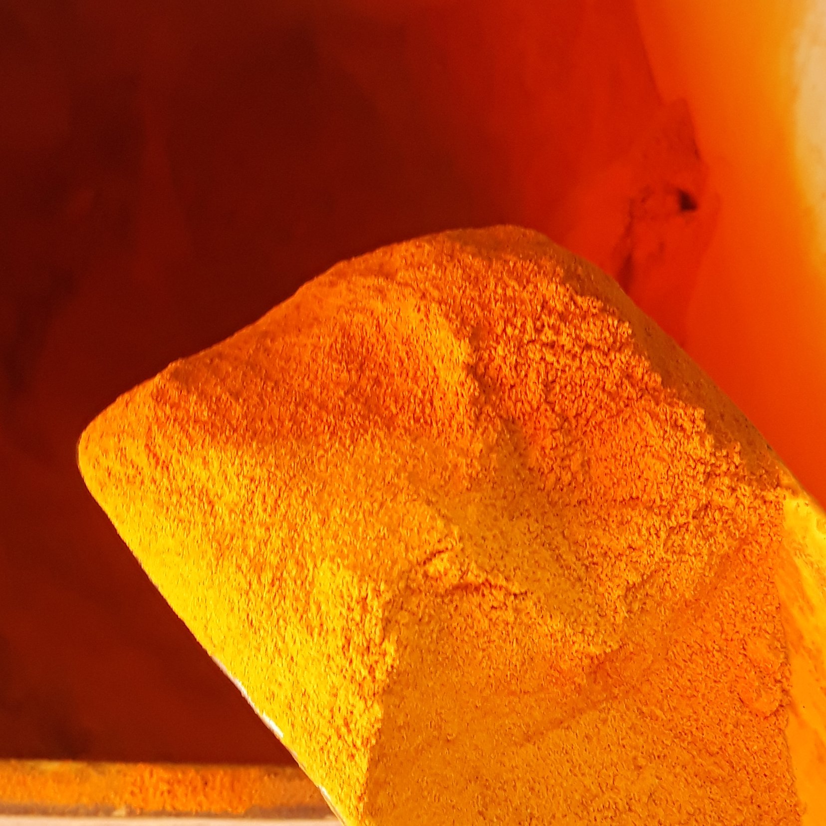 زرچوبه هندی 500گرمی