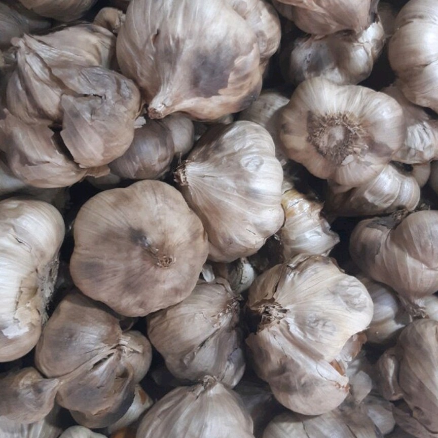 سیر سیاه همدان یک کیلویی عطاری دستانی 