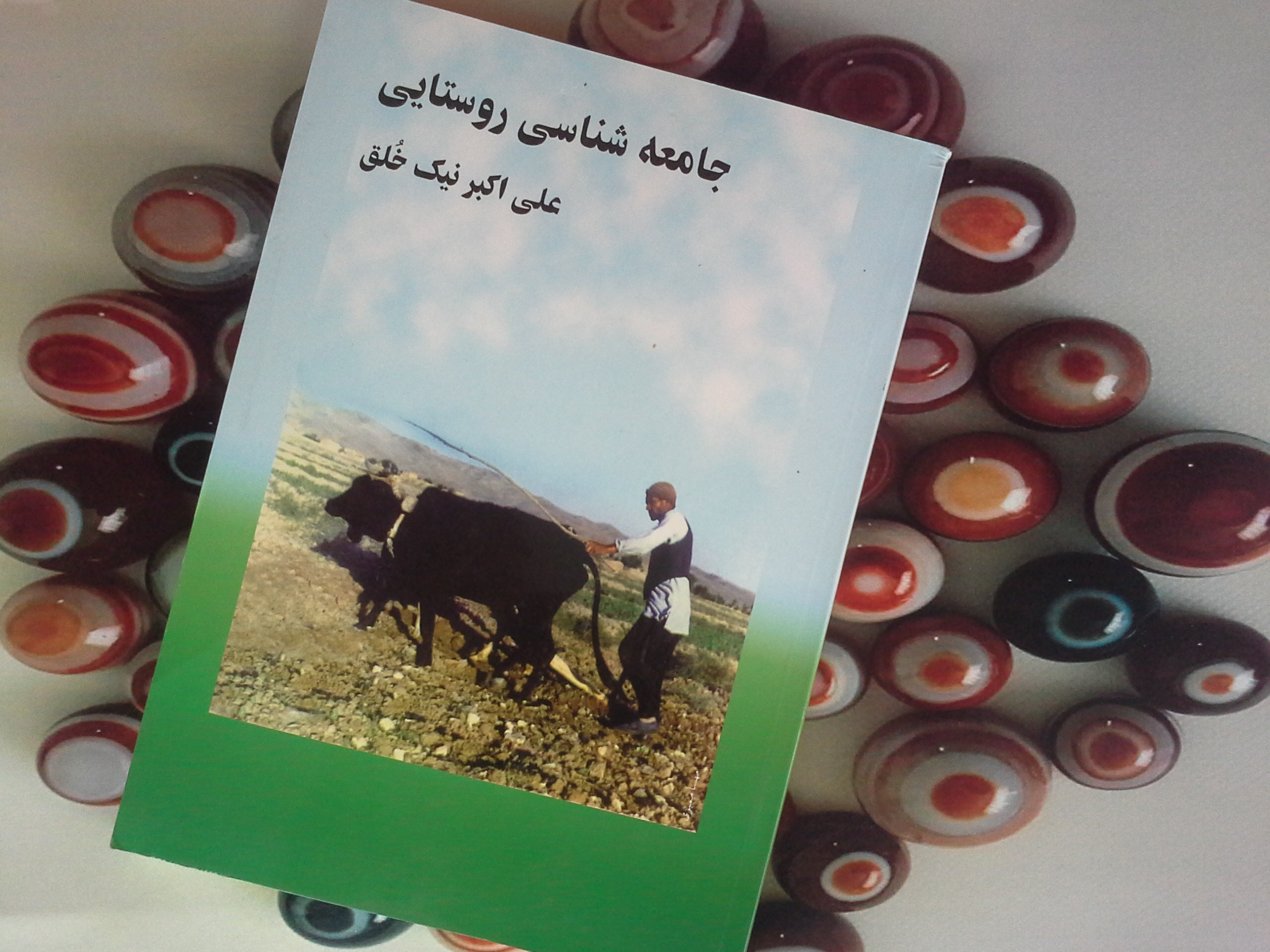 کتاب جامعه شناسی روستایی - خرید با تخفیف چهل درصد ازکتاب دایره قهوه ای