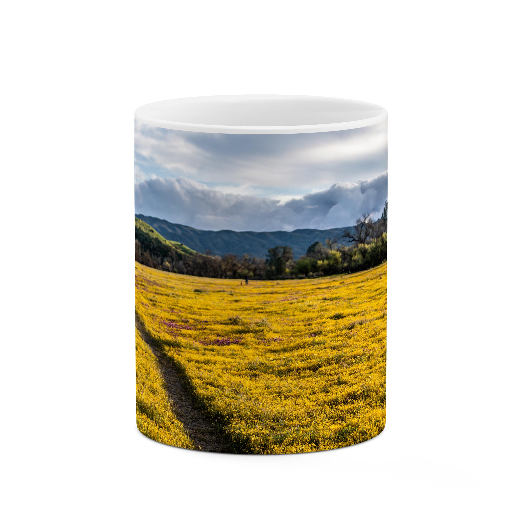 ماگ طرح طبیعت مدل mgp02216