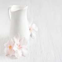 خرید و دانلود عکس Food-Part-54 کد 23698 | پیک فاکس | Pic Fox