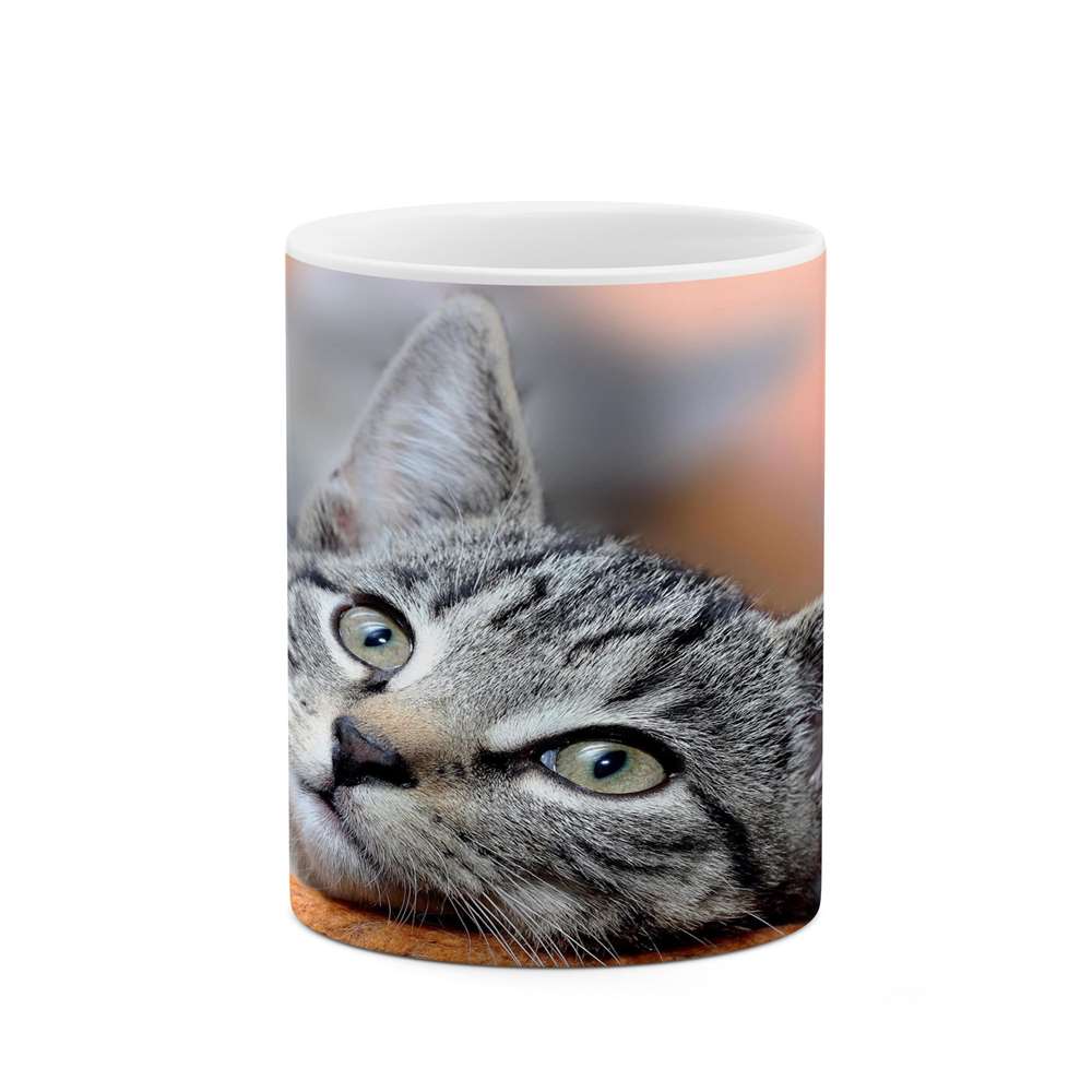 ماگ کاکتی طرح گربه مدل mgs14047