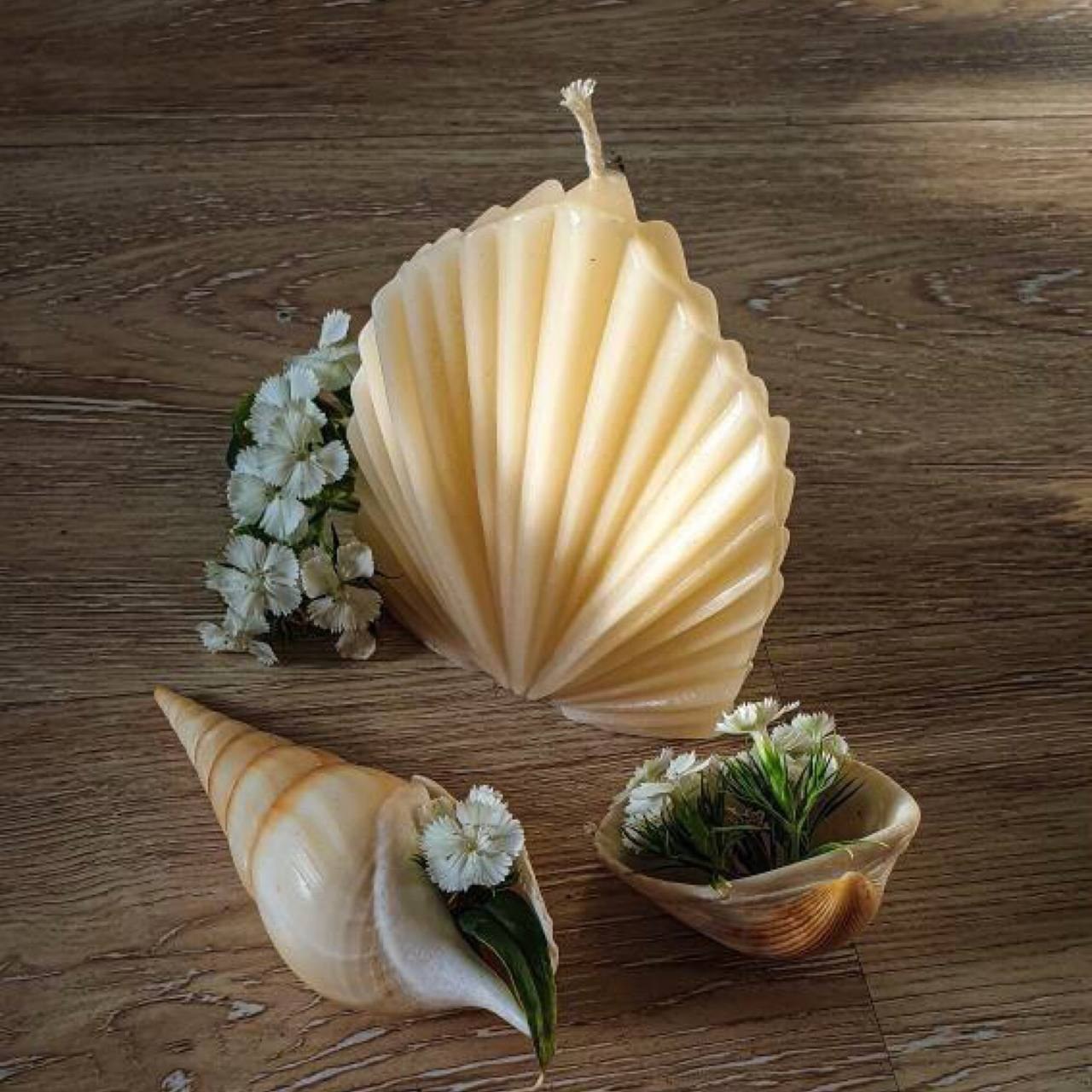 شمع قالبی صدف زیبا