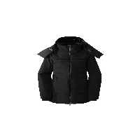 کاپشن مشکی زنانه مانتو فضای باز W Disere Down Parka NF0A7UUDJK31 The North Face