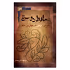کتاب حافظ دوستی اثر شهاب الدین مصباحی نشر نگاه معاصر
