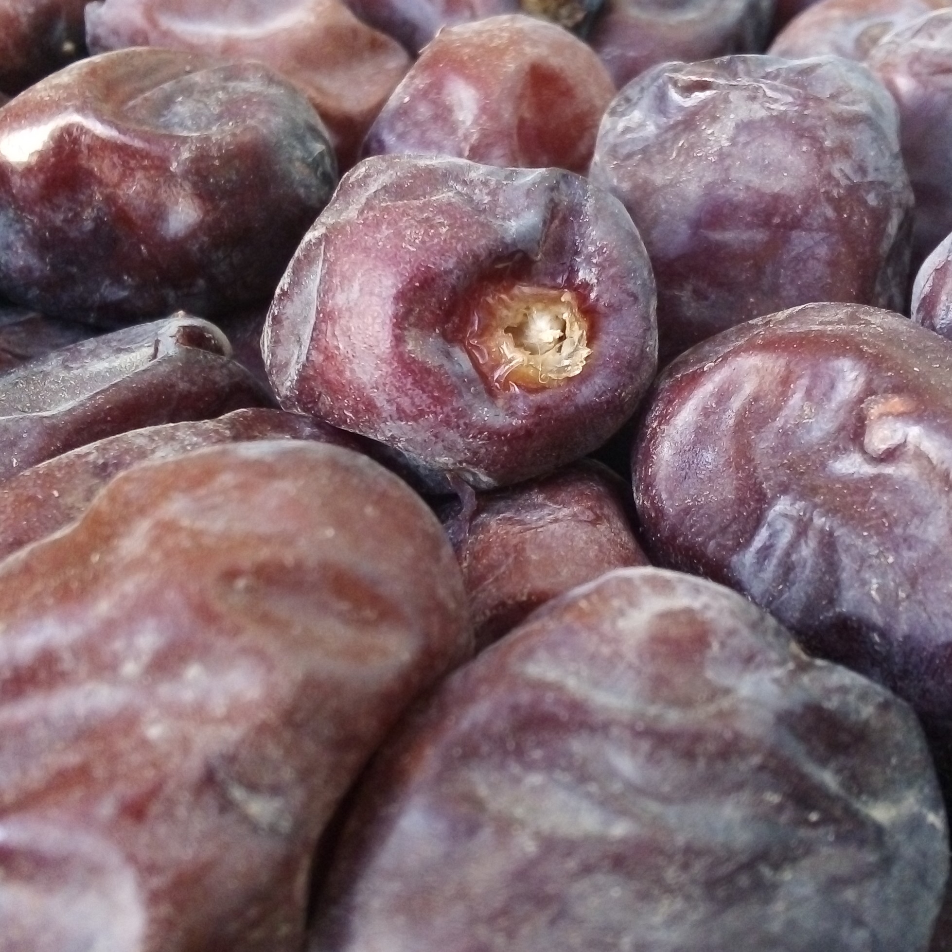 خرما مضافتی جیرفت برداشت امسال دربسته بندی 800گرمی