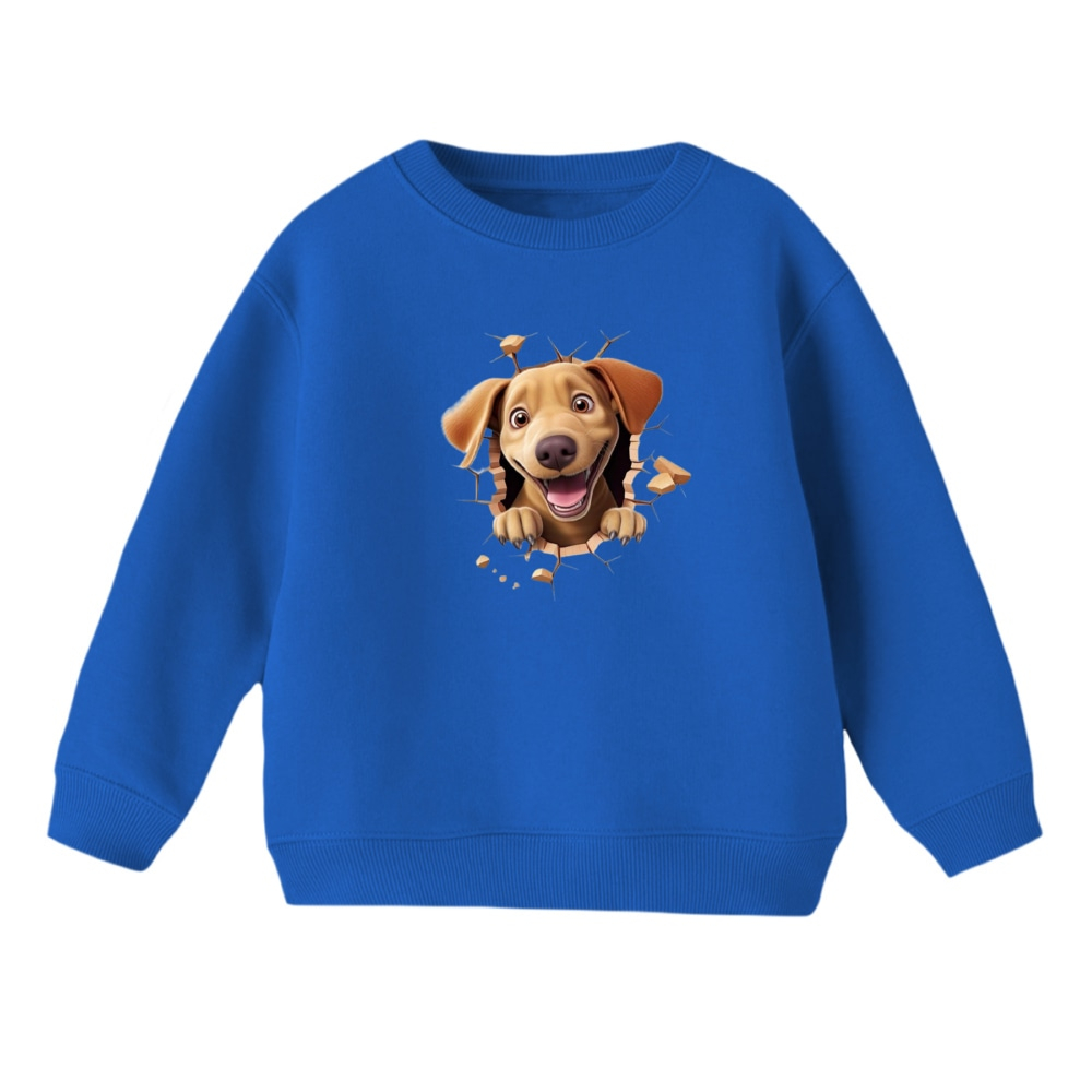 سویشرت بچگانه مدل سگ کد 2 رنگ آبی