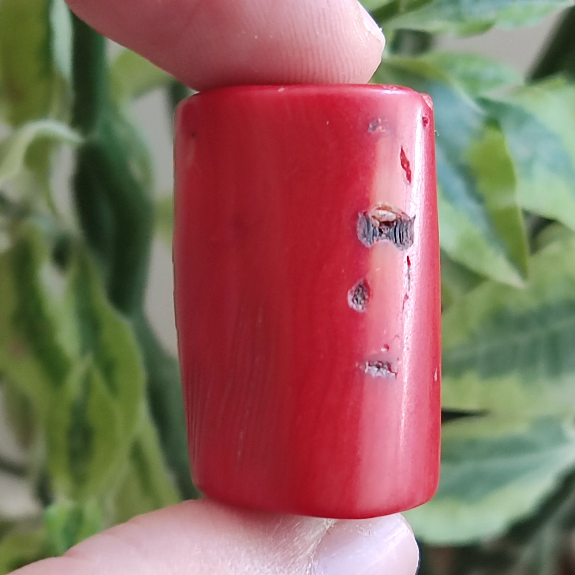 مرجان درشت قدیمی طبیعی