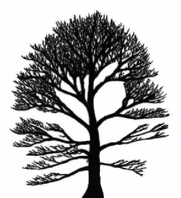 خرید و دانلود نسخه کامل کتاب Tree automata techniques and applications
