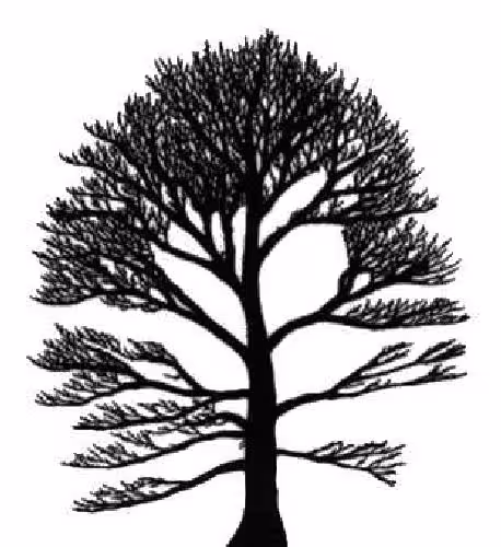 خرید و دانلود نسخه کامل کتاب Tree automata techniques and applications