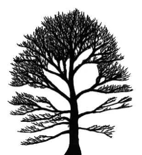 خرید و دانلود نسخه کامل کتاب Tree automata techniques and applications