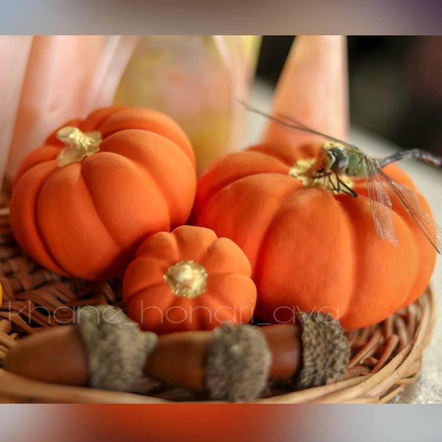 کدو  دکوراتیو