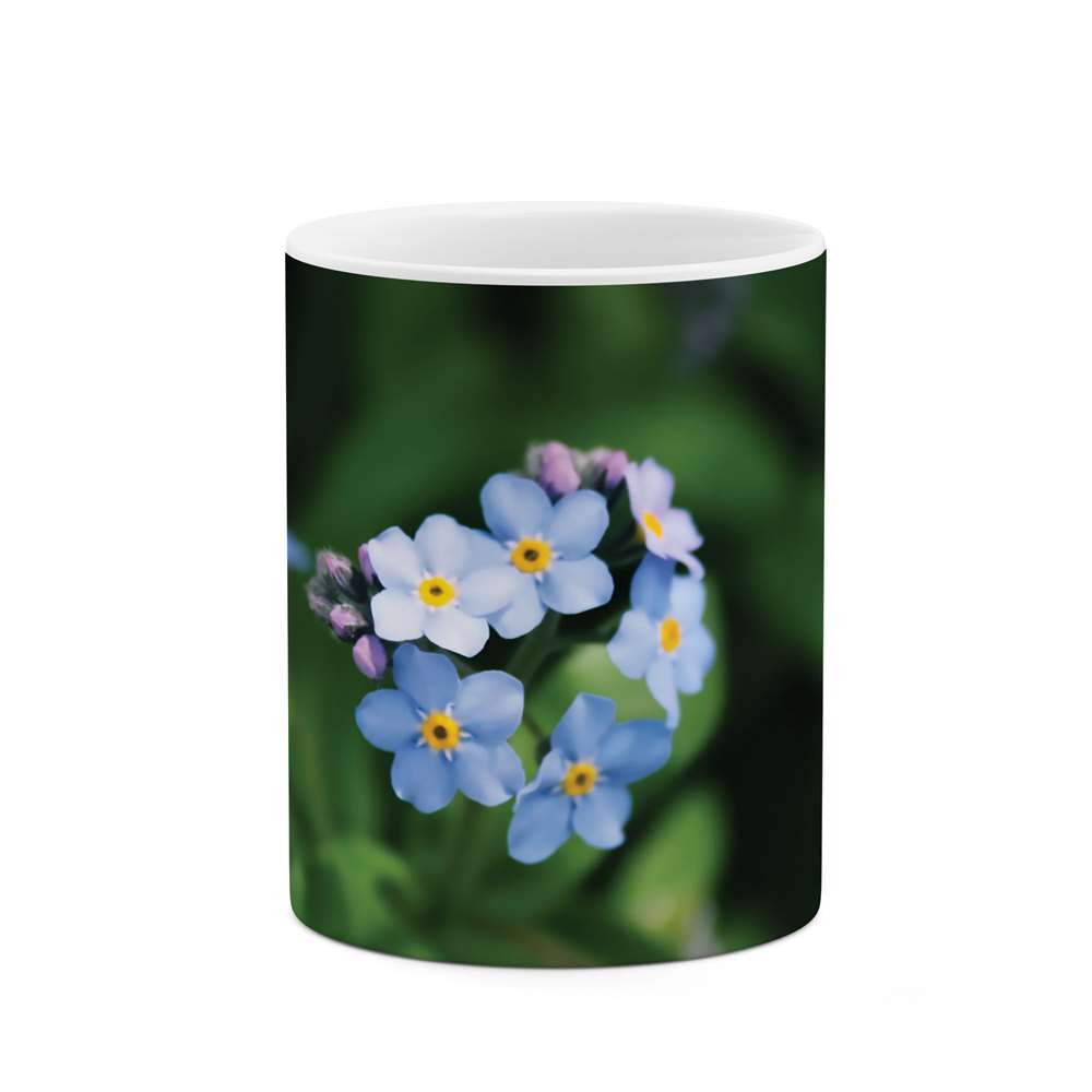 ماگ طرح شکوفه گل مدل mgs07625