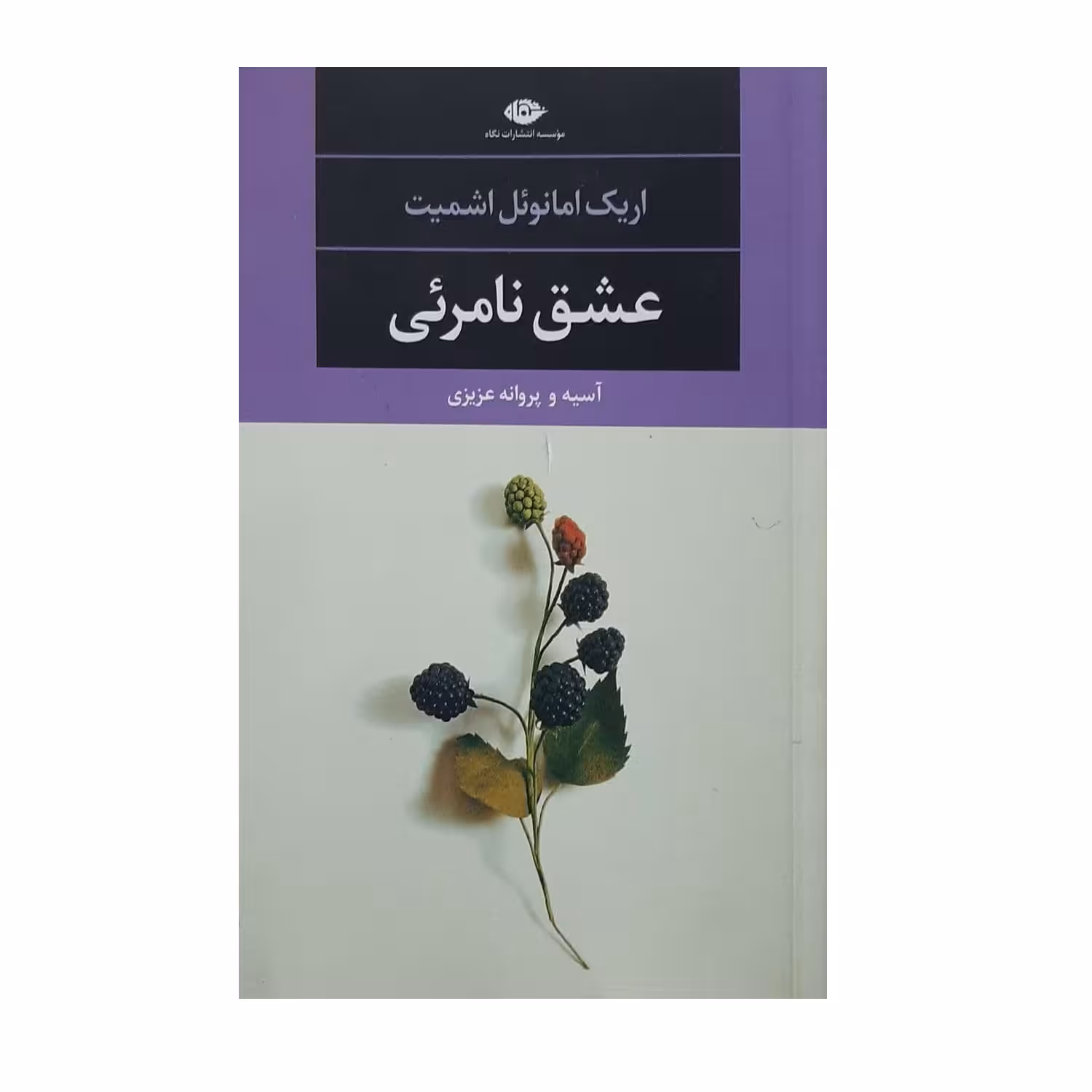 کتاب عشق نامرئی اثر آسیه و پروانه عزیزی نشر نگاه