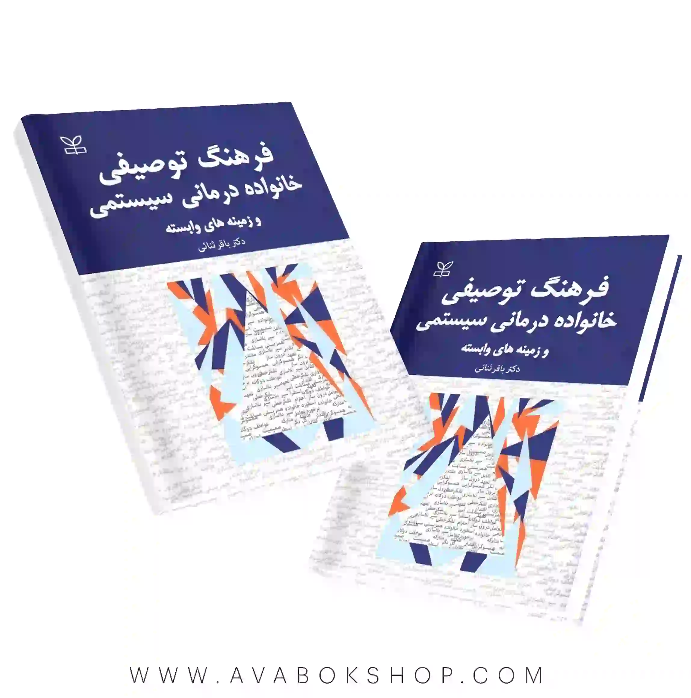 کتاب فرهنگ توصیفی خانواده درمانی سیستمی و زمینه های وابسته انتشارات رشد