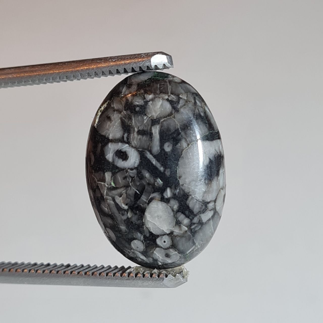 سنگ قیمتی کرونایت فسیل طبیعی 3213