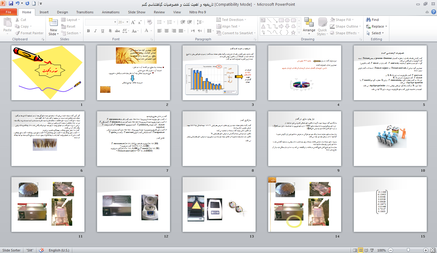 پاورپوينت تاريخچه و اهميت كشت و خصوصيات گياهشناسي گندم