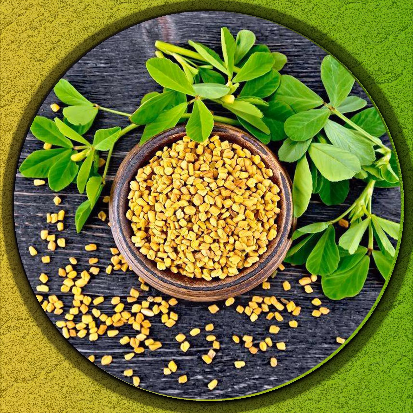 تخم شنبلیله حلبه سورت شده اعلا 150 گرمی