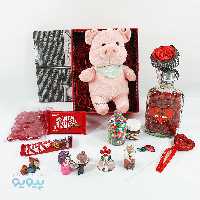 کادو باحال ولنتاین با عروسک خوک صورتی