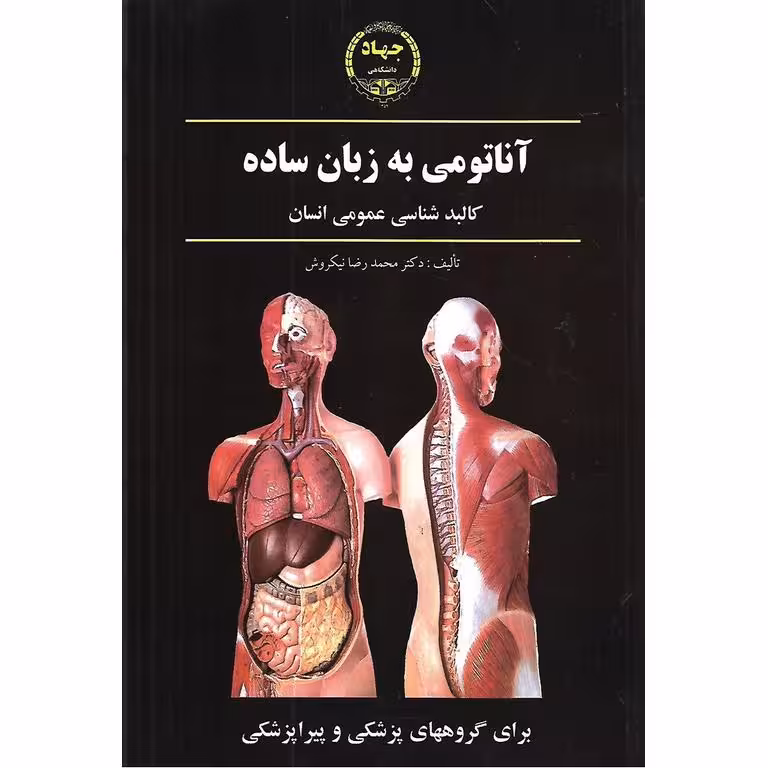 آناتومی به زبان ساده