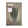 کتاب سرواغوم اثر عبدالحسین فرزاد نشر چشمه