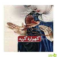 گهواره گربه گورت وونگات جونیور ثالث - سیب ترش - SibTorsh تخفیف ویژه
